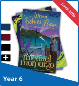 Best New Books for Year 6 B
