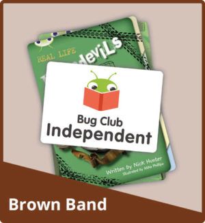 Bug Club Independent: Brown