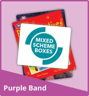 Mixed Scheme Box: Purple