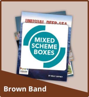 Mixed Scheme Non-Fiction: Brown