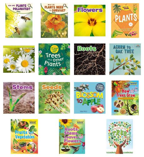 Growing Plants for KS1